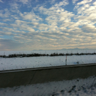 IMG_0326.jpg