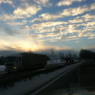 IMG_0335.jpg