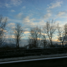 IMG_0336.jpg
