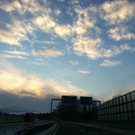 IMG_0338.jpg