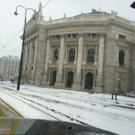 IMG_0369.jpg