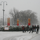 IMG_2050.jpg