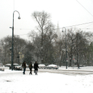 IMG_2062.jpg
