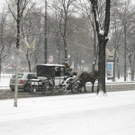 IMG_2067.jpg