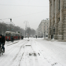 IMG_2069.jpg
