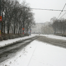 IMG_2079.jpg