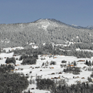 605_bearbeitet-1_jpg-1291220421