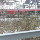 SH106460_JPG-1291283280