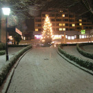 SH106532_JPG-1291287055