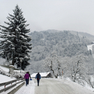 090_bearbeitet-2_jpg-1291287747