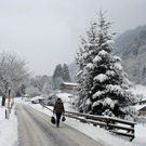 097_bearbeitet-1_jpg-1291287968