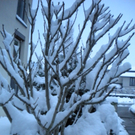 Bild 002_jpg-1291293704