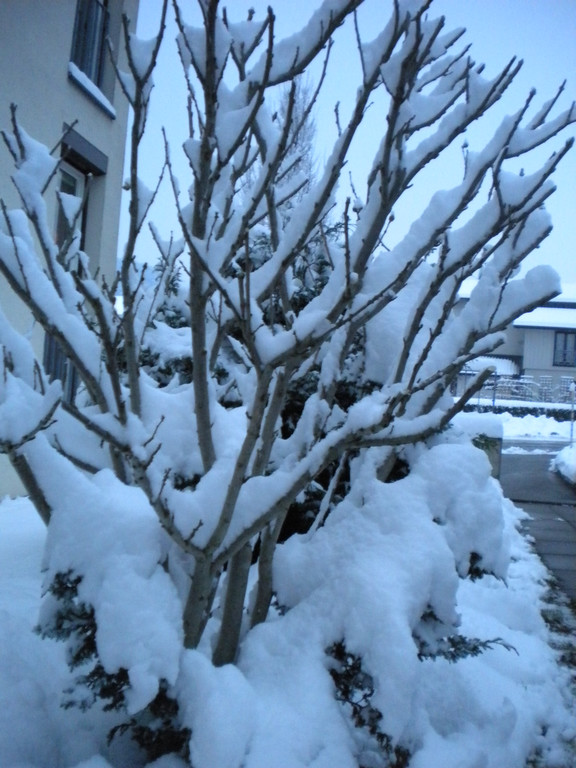 Bild 002_jpg-1291293704