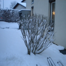 Bild 003_jpg-1291293708