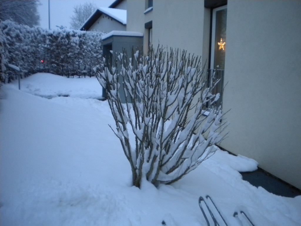 Bild 003_jpg-1291293708