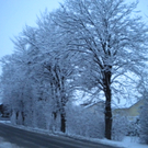 Bild 004_jpg-1291293712