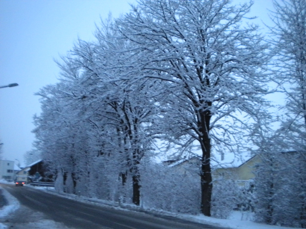 Bild 004_jpg-1291293712