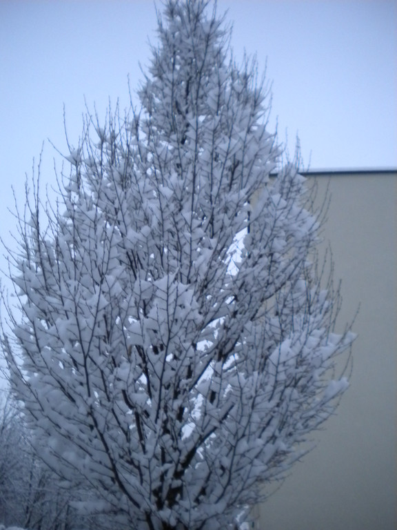Bild 012_jpg-1291293735