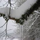 Schneeschuhwanderung in Bezau 