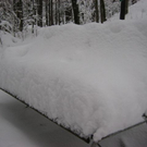 IMG_4984.JPG