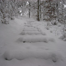 IMG_4985.JPG