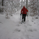 IMG_4986.JPG