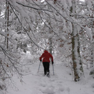 IMG_4987.JPG