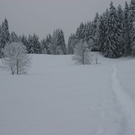 IMG_4993.JPG