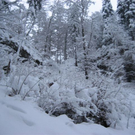 IMG_4996.JPG