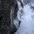 IMG_5000.JPG