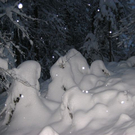 IMG_5003.JPG