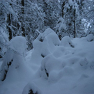 IMG_5004.JPG