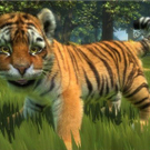 kinectg2.jpg