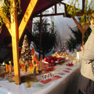 IMG_6193_JPG-1291389700