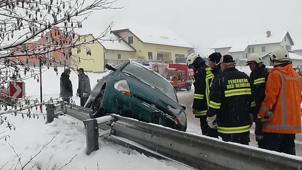 normal_03122010vuleitschienesaaktivnews003.jpg