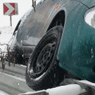 normal_03122010vuleitschienesaaktivnews004.jpg