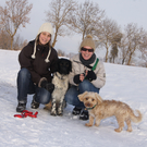 Winterliche Idylle im Ried