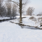 DSC04341.JPG