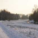 DSC04352.JPG
