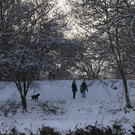 DSC04355.JPG
