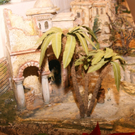 DSC03800_JPG-1291409581