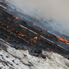 04122010brandfibaktivnews_20_19_.jpg
