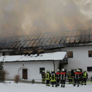 normal_04122010brandfibaktivnews_20_36_.jpg