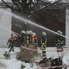 normal_04122010brandfibaktivnews_20_41_.jpg