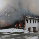 04122010brandfibaktivnews_20_1_.jpg