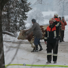 04122010brandfibaktivnews_20_10_.jpg