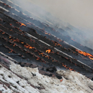 04122010brandfibaktivnews_20_19_.jpg