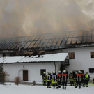 normal_04122010brandfibaktivnews_20_36_.jpg