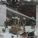 normal_04122010brandfibaktivnews_20_41_.jpg
