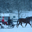 DSC_5486.jpg